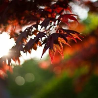 儿童篮球基本功训练内容包括_1