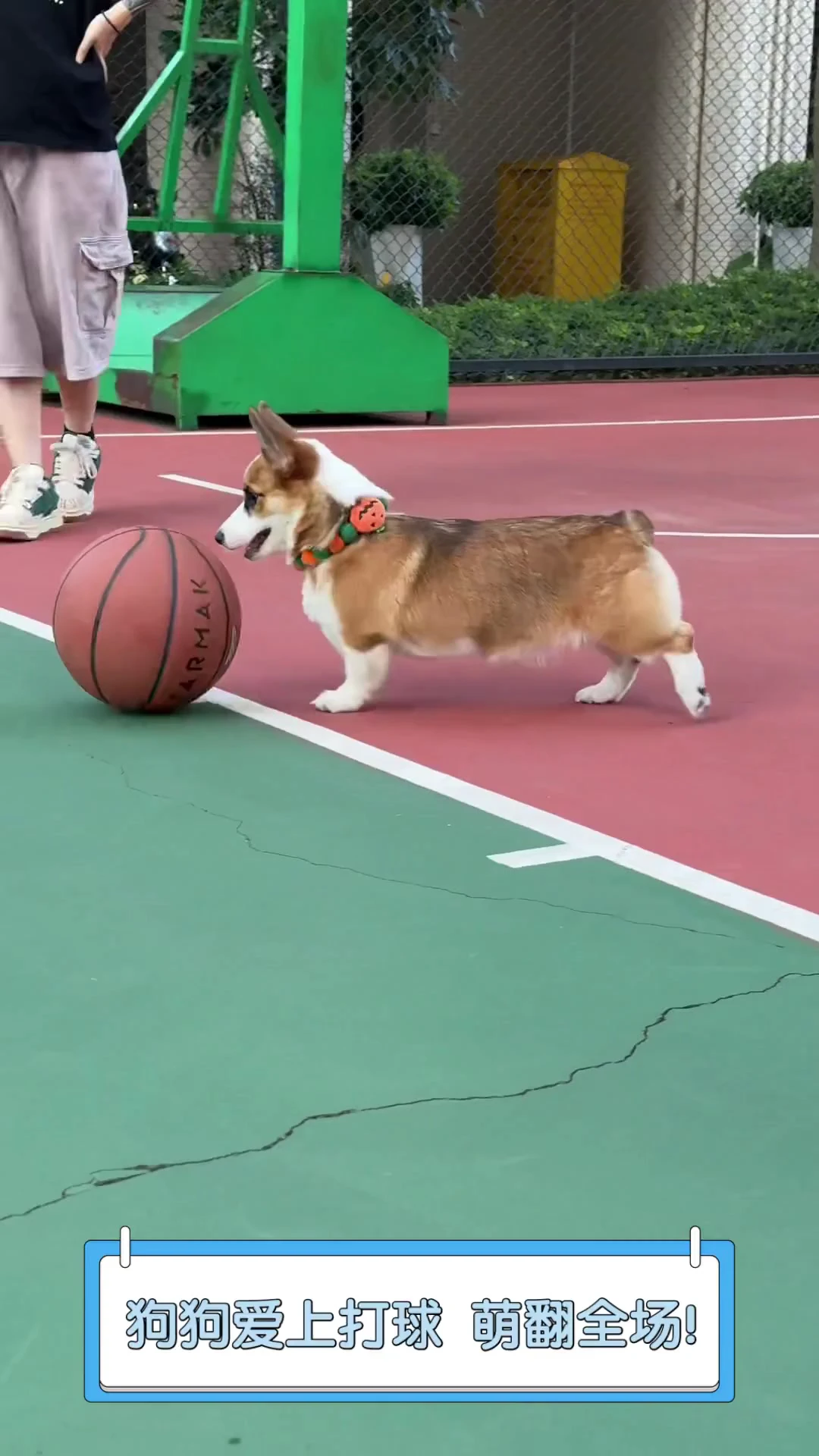 如何使用智能健身设备进行篮球专项训练_0